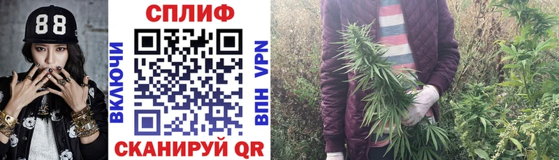 Бошки Шишки гибрид  мега вход  Белёв  как найти закладки 